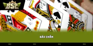bài chắn